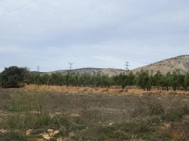 PRECIO de OCASIÓN!! Parcela de 12.000 m2 para construir en Benejama — 2