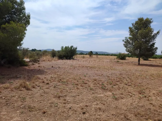 TERRENO RURAL EN LLÍRIA - foto 5