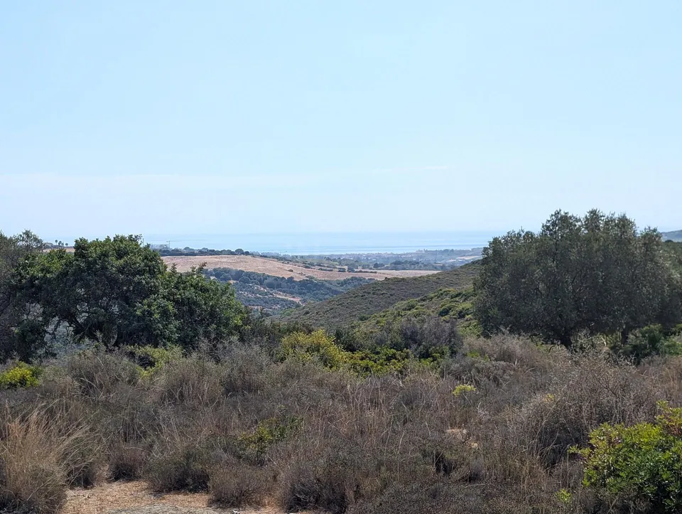 Parcela rústica de 8.023 m2 con vistas al mar en Casares