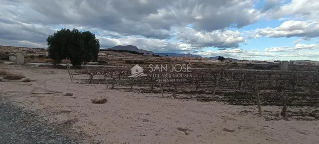 SE VENDE PARCELA EN MONFORTE DEL CID — 6
