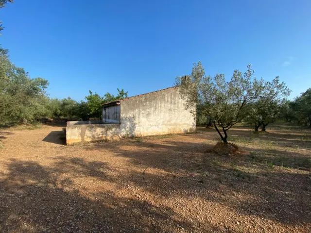 Fantástica finca con casa en la Miliana — 24