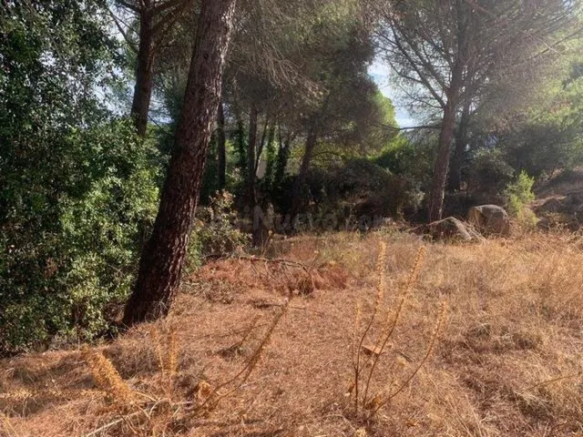 ZONA LAS JARAS - Parcela urbana de terreno de 1.500 m2 con p - foto 4
