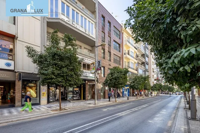 GRAN PISO EN CALLE RECOGIDAS — 37