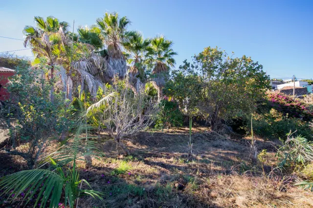 ESPECTACULARES CASITAS  CON 1034 M2 DE TERRENO — 17