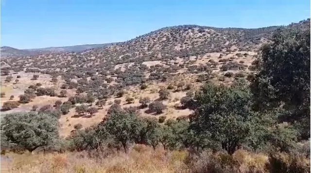 "Finca de Ensueño en Hornachuelos: Caza, Naturaleza y Confort" — 35