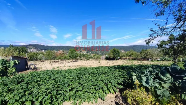 FINCA DE MÁS DE TRES MIL METROS CUADRADOS EN SAN CIBRAO DAS  - foto 3