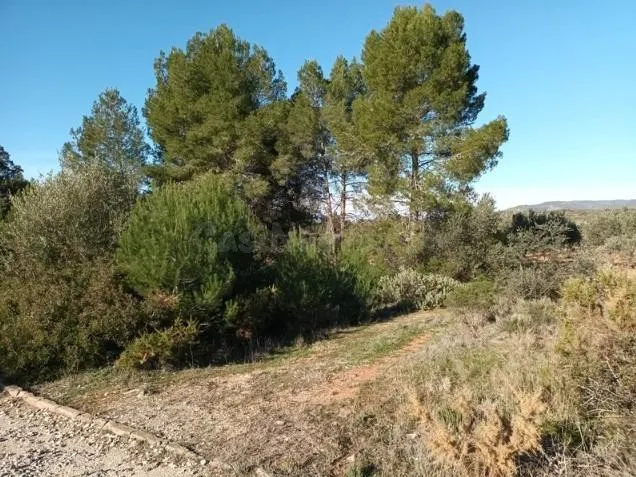 SUELO URBANIZABLE EN VENTA MACASTRE (VALENCIA)