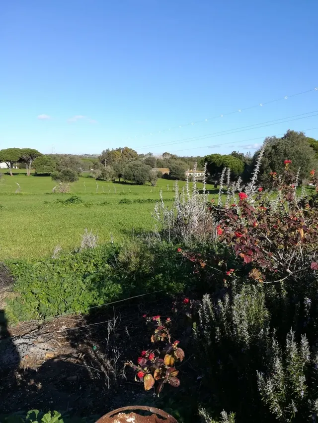 Casa de campo entorno rústico — 8