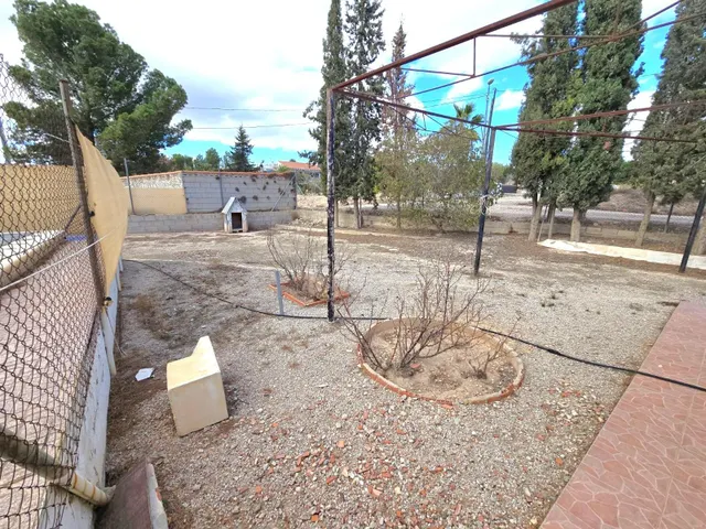 ¡Bienvenido al encanto rural de Molina de Segura! — 26