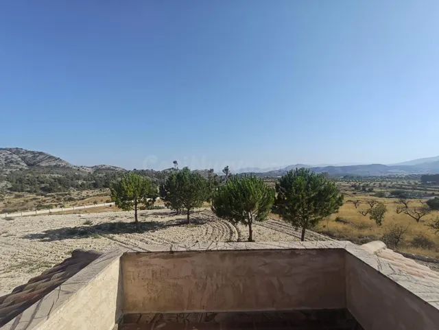 Chalet en Petrer con parcela de 13.000 m2 y 447 construidos — 29