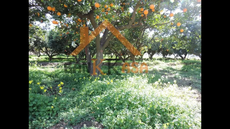 SE VENDE TERRERENO RURAL EN BERJA CON CORTIJO