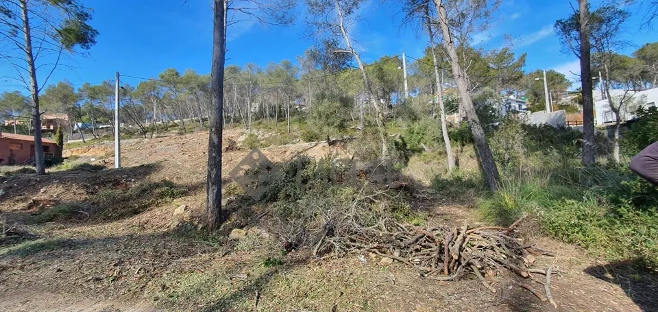 Terreno llano en Olivella, a punto para construir!