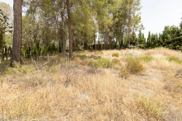 EXCLUSIVO TERRENO EN VENTA EN ALBOLOTE — 19