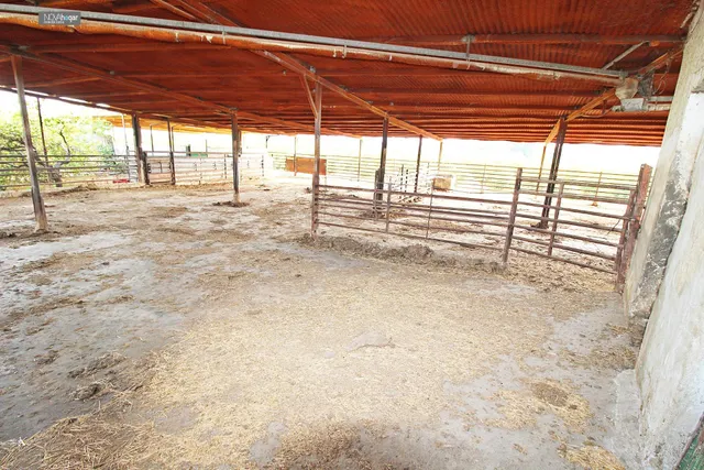 FINCA RÚSTICA EN CAMPANILLAS — 17