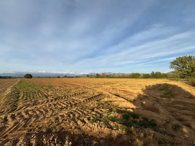 Terreno rústico de 23.000 m2 en Garriguella – Un entorno nat - foto 2