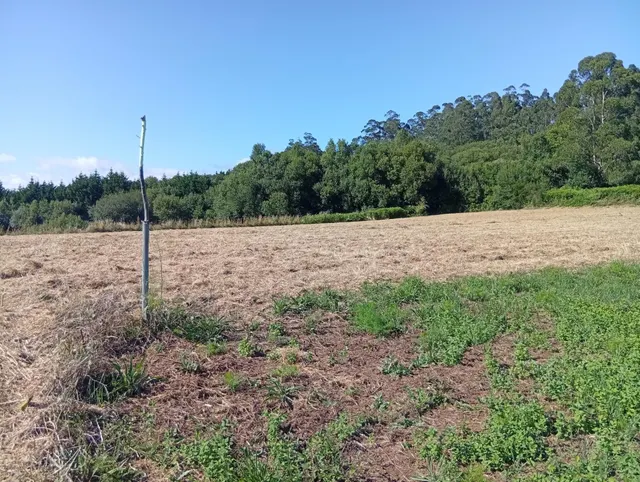Terreno urbano en Laraxe, Cabanas. - foto 4