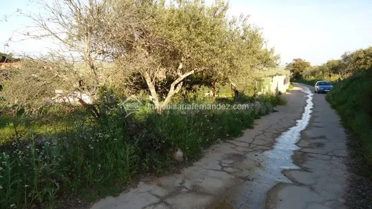 Parcela a 500 metros de Sierra de Fuentes - foto 2