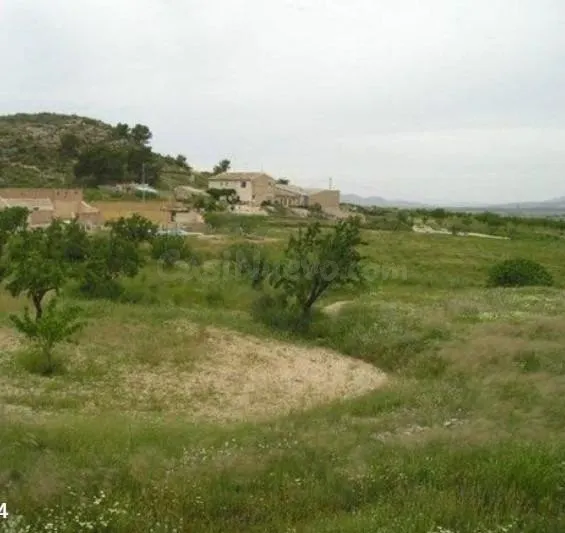 Terreno rústico en la Cañada Del Trigo - foto 4
