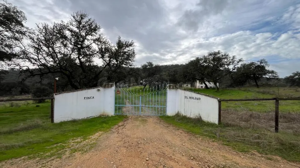 Finca en venta en El Castillo de las Guardas