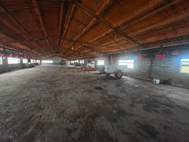 Finca rústica excepcional en venta en Santa Bàrbara – Gran p - foto 2