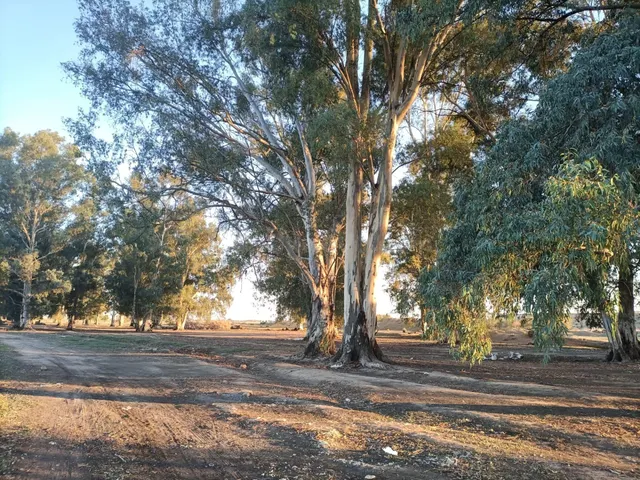 Venta de Suelo Urbanizable Residencial en HACIENDA DE TIERRA - foto 4