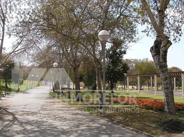 Zona Virgen del Remedio — 16
