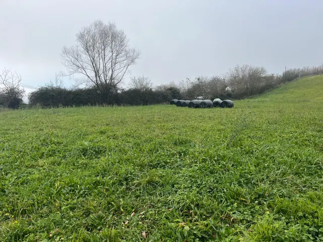 TERRENO EN LANGREO - foto 2