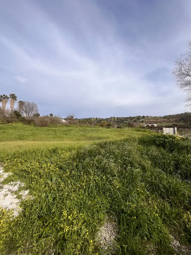 Parcela en venta - South of spain — 8