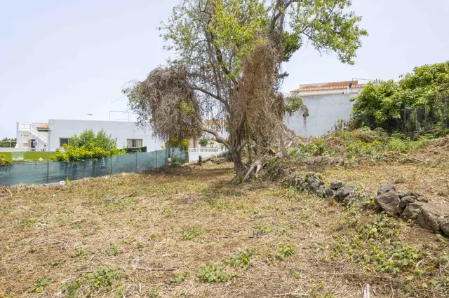 SE VENDE CASA CON TERRENO URBANO EN ICOD DE LOS VINOS. - foto 3