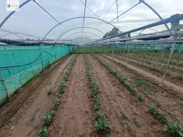 LISTO PARA FUNCIONAR - foto 3