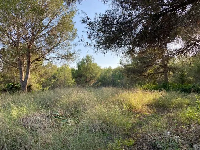 OPORTUNIDAD ENORME TERRENO EN VENTA POR 150.000€ — 12