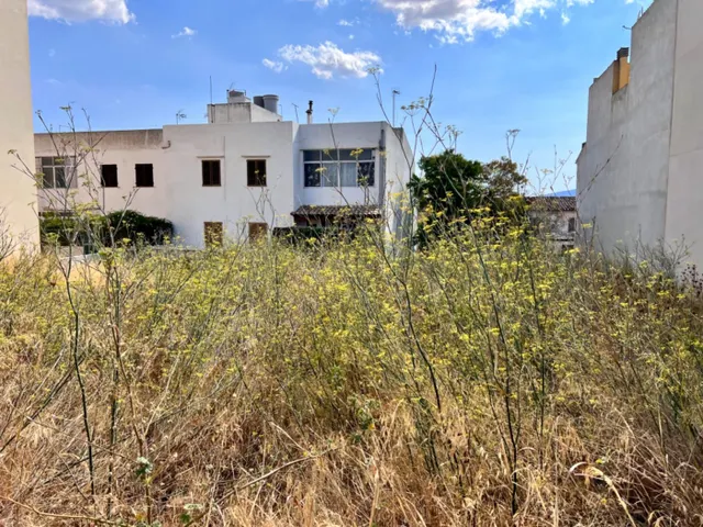 Solar en Campanet — 6