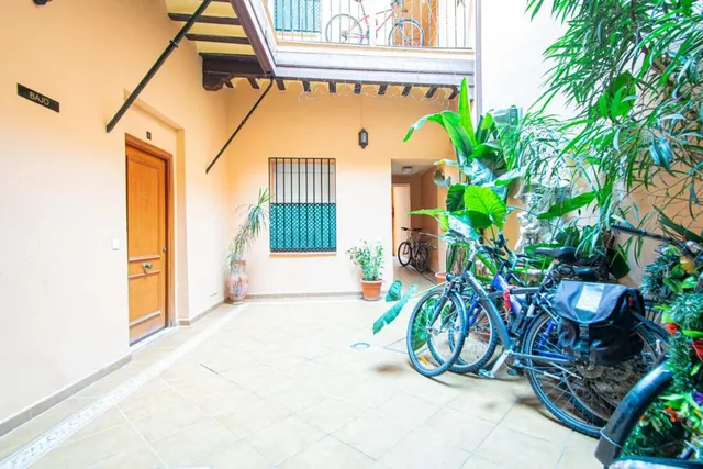 Precioso apartamento junto Calle Feria!!! — 17