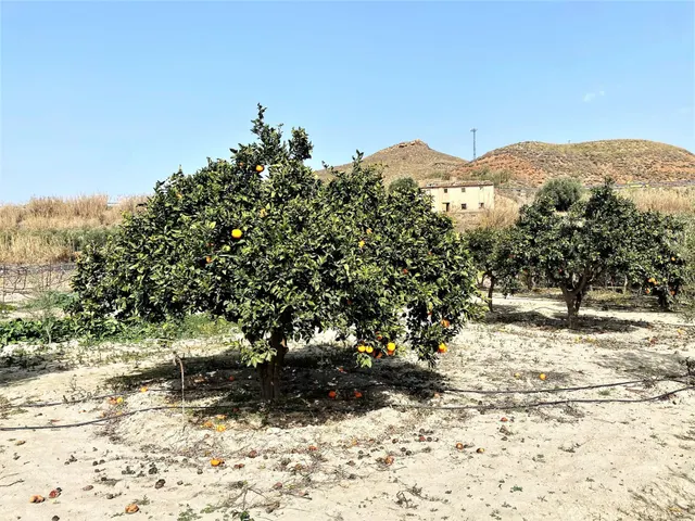 Se vende cortijo a distancia de a pie al pueblo — 34