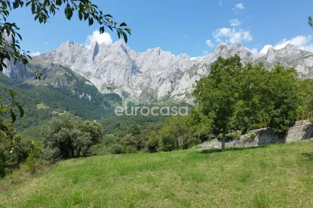 TE DAMOS LA IDEA, EL TERRENO PONE EL ESCENARIO; EL RESTO LO  - foto 2