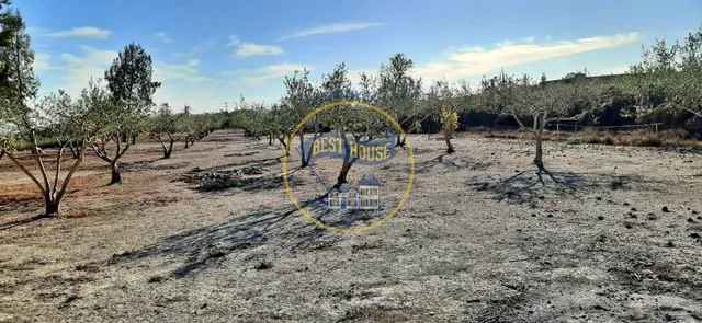 CASITA CON TERRENO EN ALBAIDA — 29