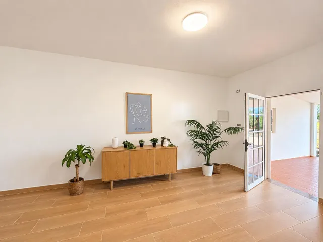FINCA RÚSTICA CON VIVIENDA EN EL PALMITAL, STA. MARÍA DE GUÍA — 13