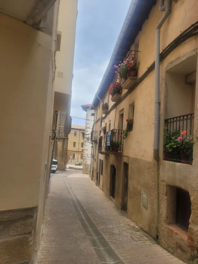 Casa en San Martín de Unx — 39