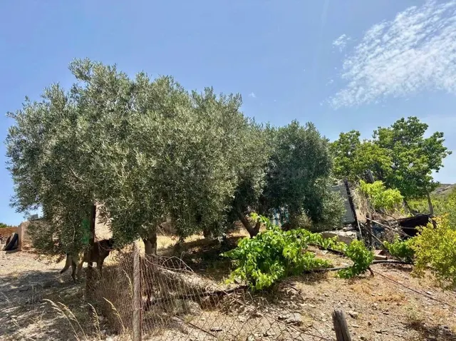 Finca agrícola y ganadera de 25.000 m2 con pozo propio, placas solares y plantación en producción en Gérgal — 15