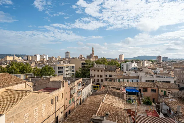 SOLAR URBANIZABLE EN MANACOR. — 24