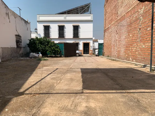 MAGNIFICO SOLAR EN CANTILLANA (SEVILLA) — 6