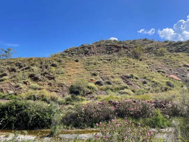 Se vende parcela rústica en los Montes de Málaga, junto a la carretera — 3