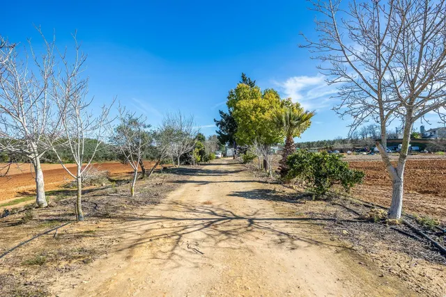 La parcela con vivienda, zona de ocio y proyectos que estaba - foto 4
