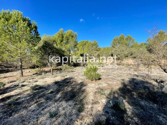 Terreno a la venta en Bocairent. - foto 3