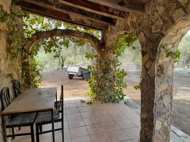 OPORTUNIDAD FINCA RUSTICA DE REGADIO CON CASA DE CAMPO EQUIPADA EN ASCO — 5