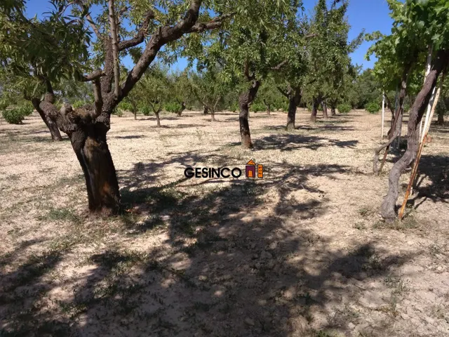 CHALET EN VENTA EN ONTINYENT - ZONA LA FAROLA — 23