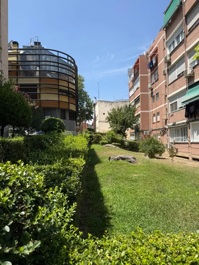 Oportunidad en Pinar del Rey: Piso de 3 dormitorios para reformar. — 18