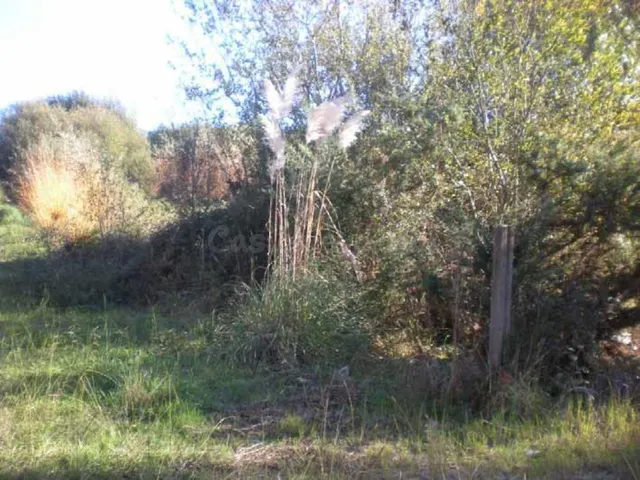 Suelo Rústico en venta, TOMBO, Sanxenxo, Pontevedra - foto 4