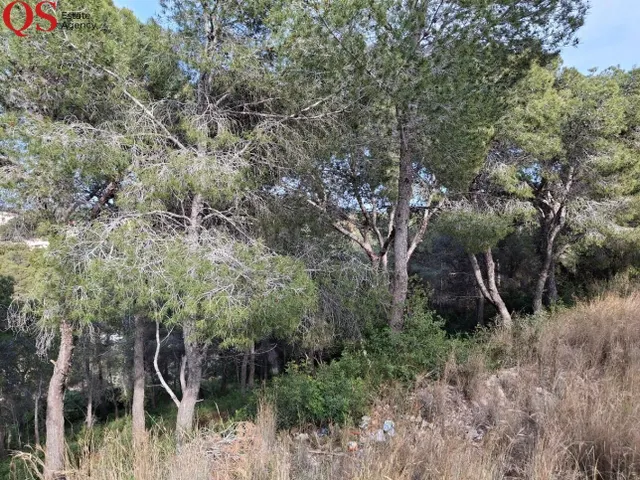 Terreno urbano en la urbanización Els Jardins, Cunit - foto 4