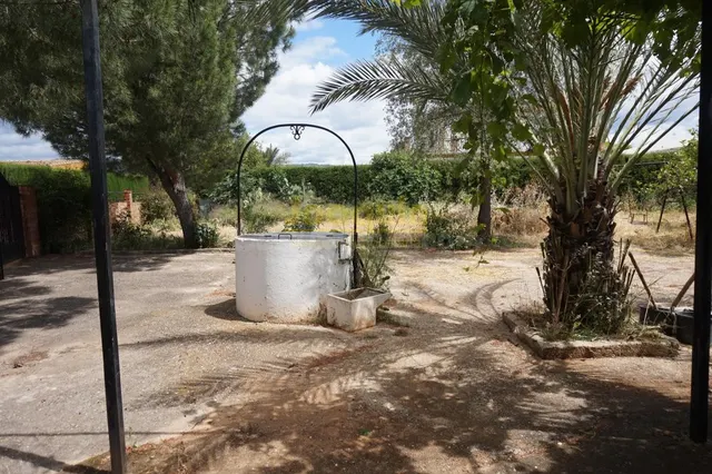 ESTUPENDA PARCELA EN EL HIGUERON. - foto 4